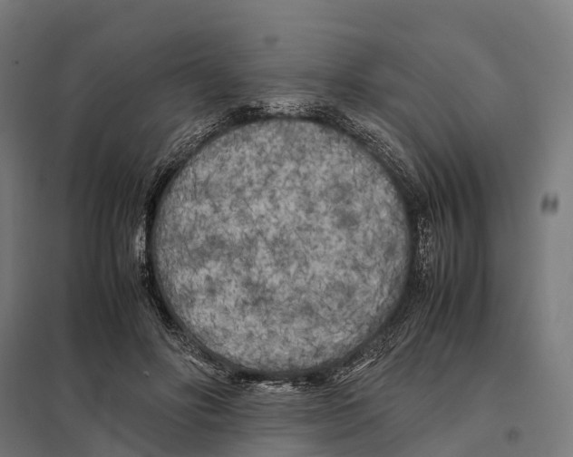 X0000097640502200803281126