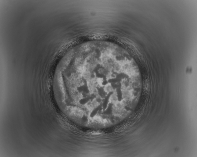 X0000097640503200803281126