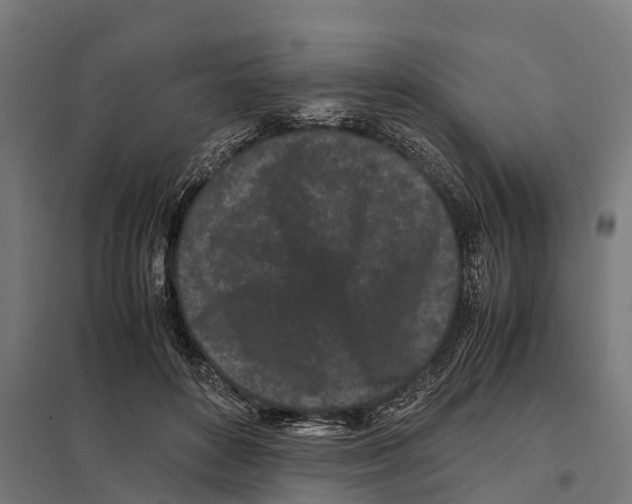 X0000097640504200803281126