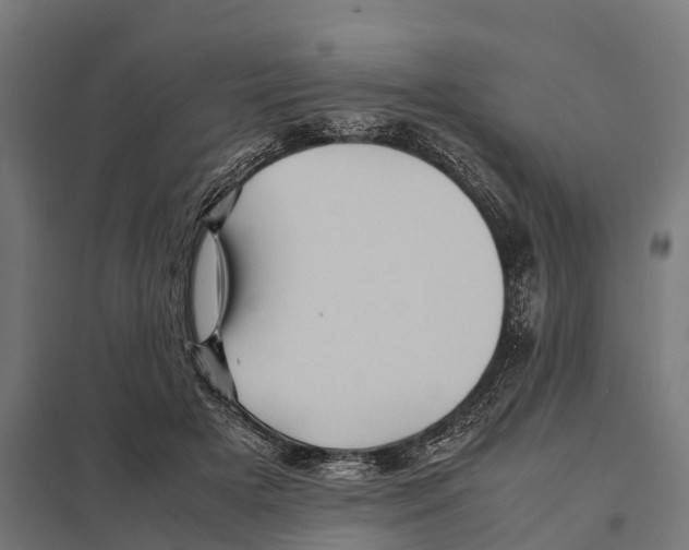 X0000097640505200803281126