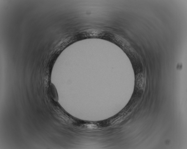 X0000097640509200803281126