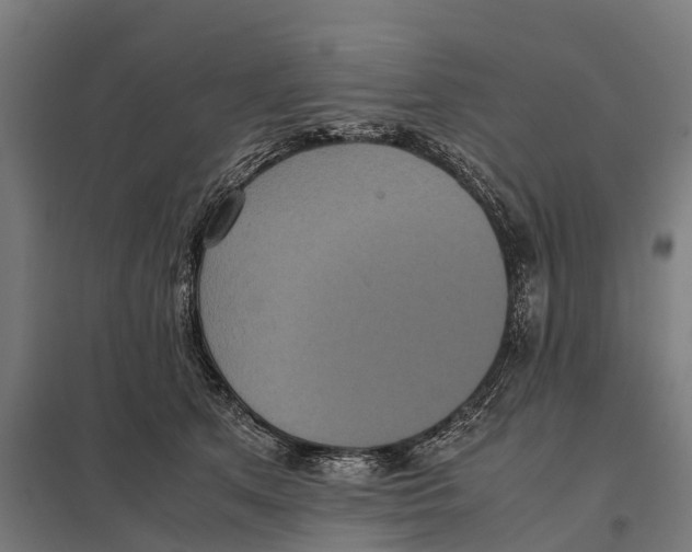 X0000097640513200803281126