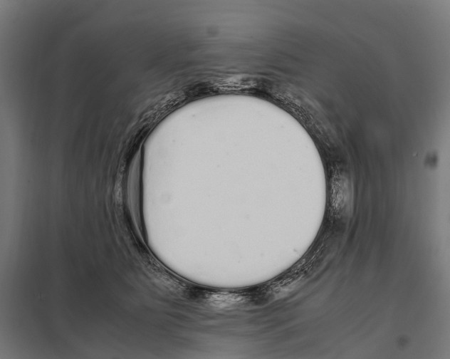 X0000097640515200803281126