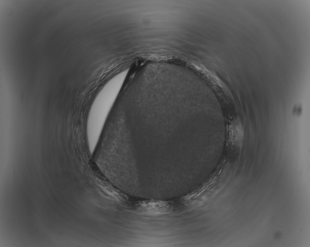 X0000097640517200803281126