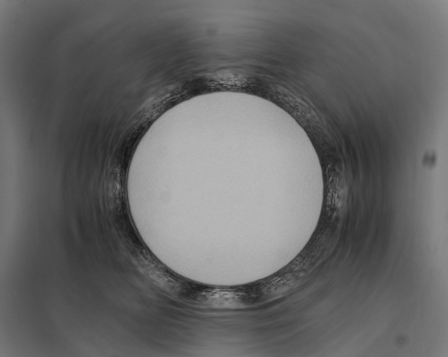 X0000097640518200803281126