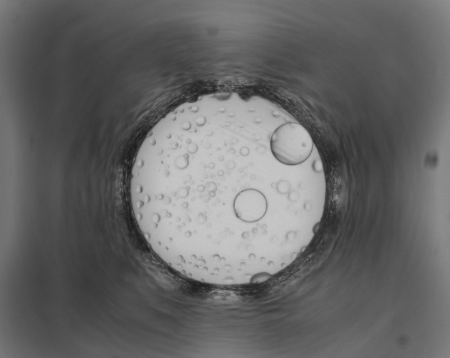 X0000097640519200803281126