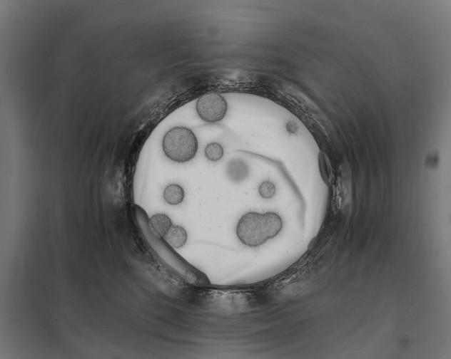 X0000097640520200803281126