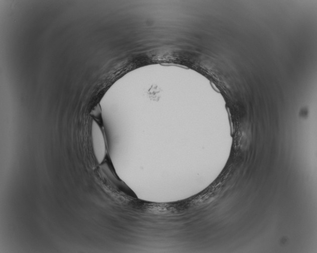 X0000097640521200803281126