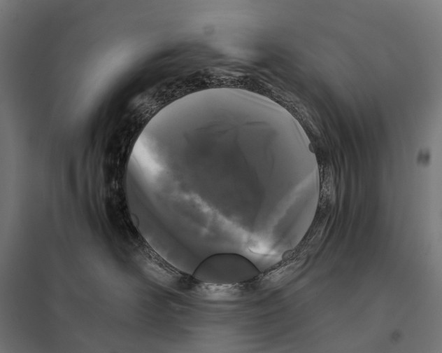 X0000097640526200803281126