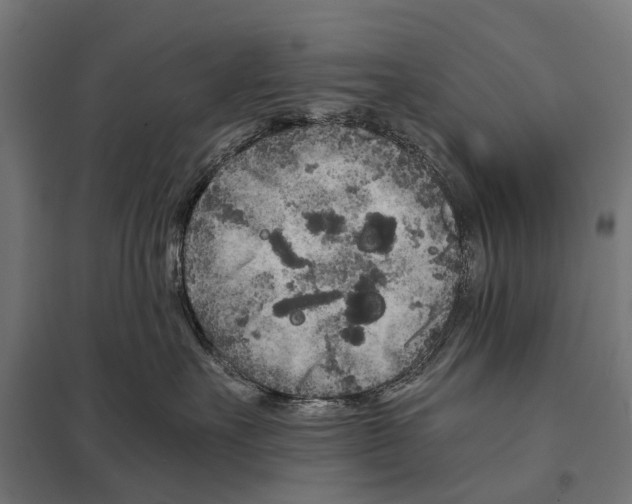 X0000097640527200803281126