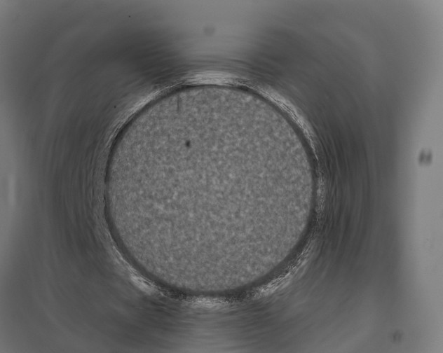 X0000097640529200803281125