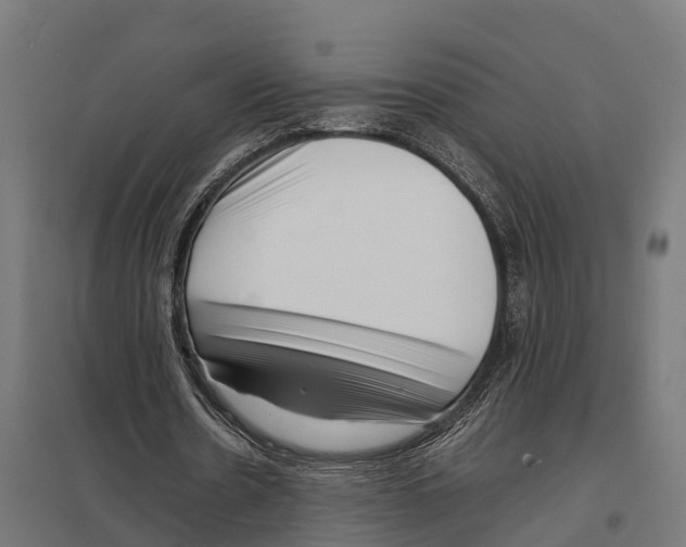 X0000097640530200803281125