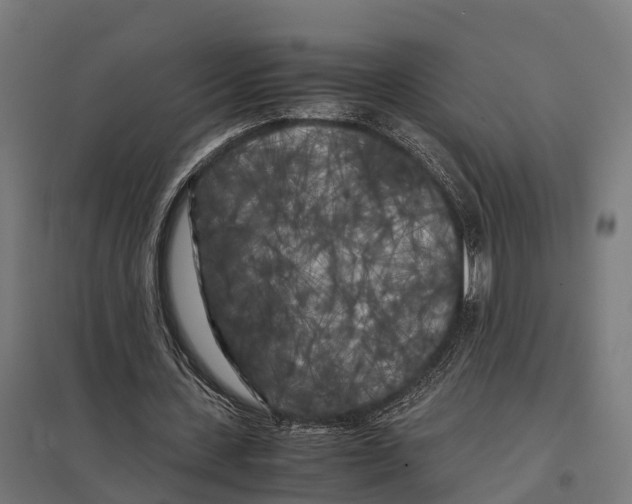 X0000097640531200803281125