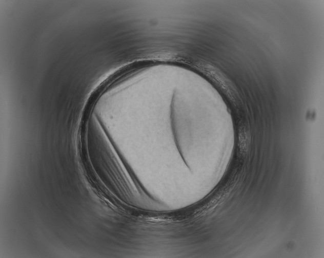 X0000097640532200803281125