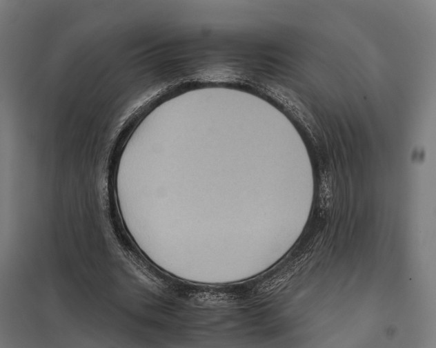 X0000097640535200803281125