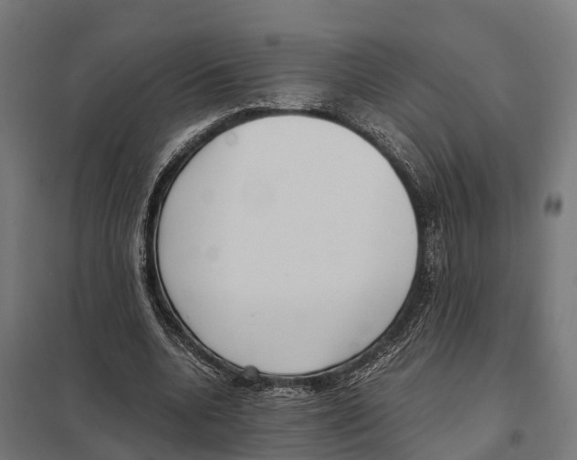 X0000097640536200803281125