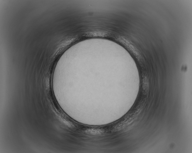 X0000097640537200803281125