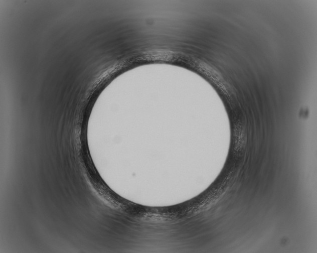 X0000097640538200803281125