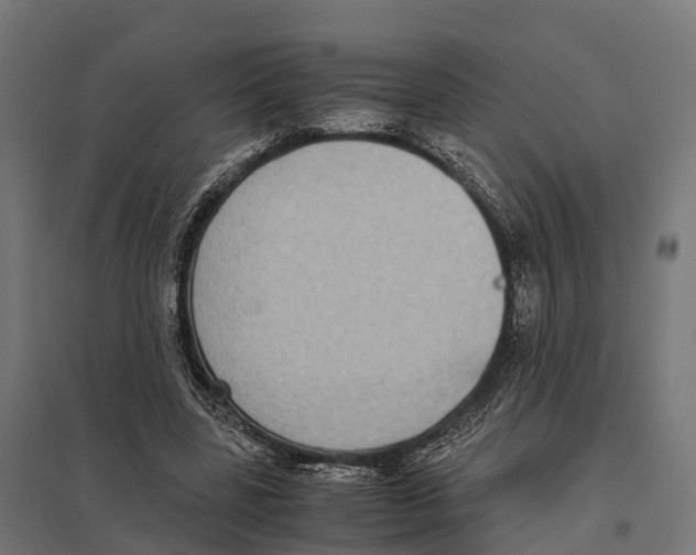 X0000097640539200803281125