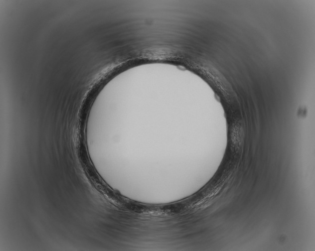 X0000097640540200803281125