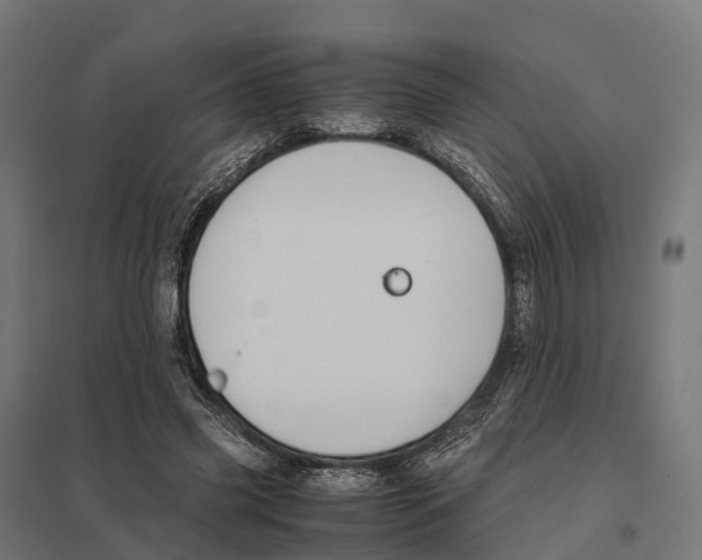 X0000097640541200803281125