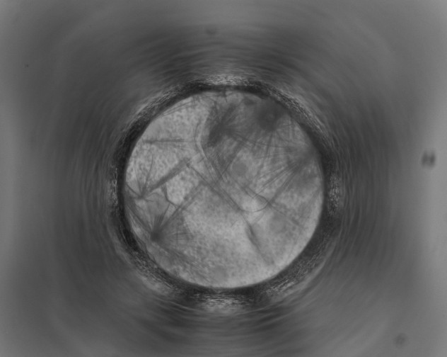 X0000097640547200803281125