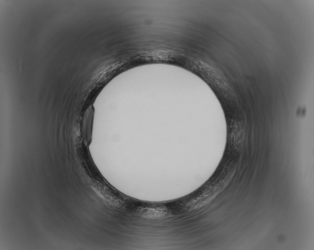 X0000097640548200803281125