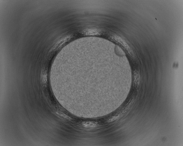 X0000097640549200803281125