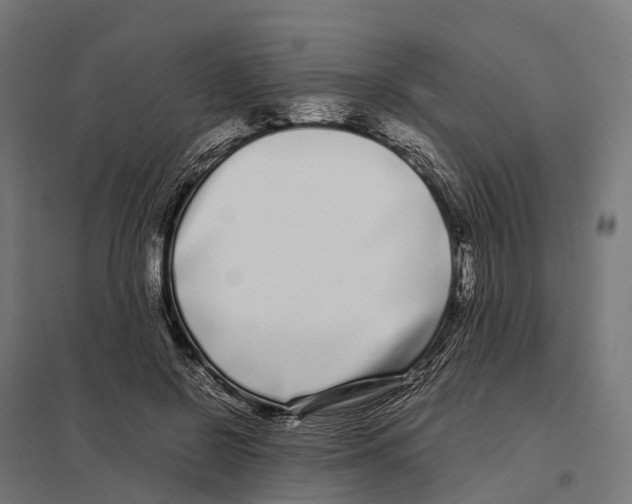 X0000097640550200803281125