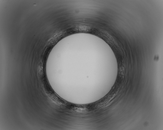 X0000097640552200803281125