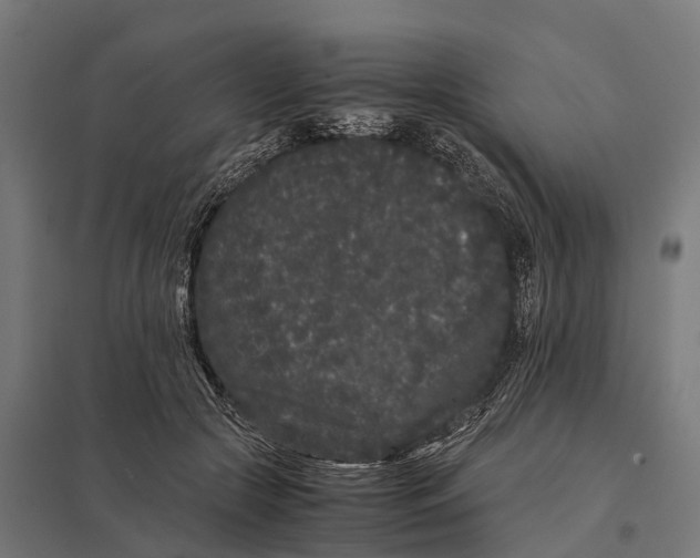 X0000097640553200803281125