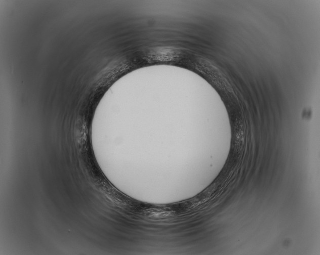 X0000097640555200803281125