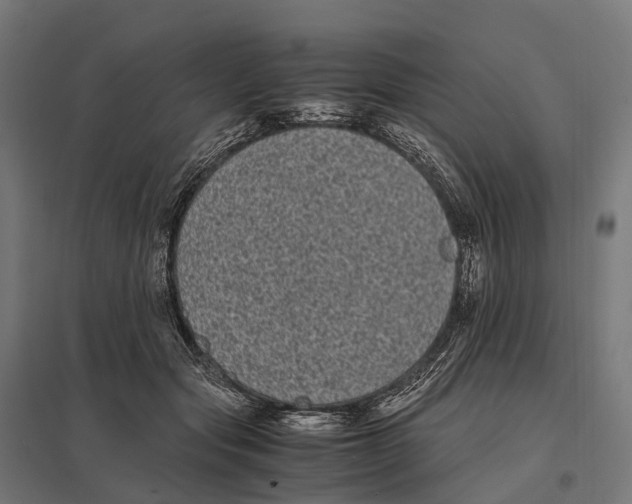 X0000097640557200803281125