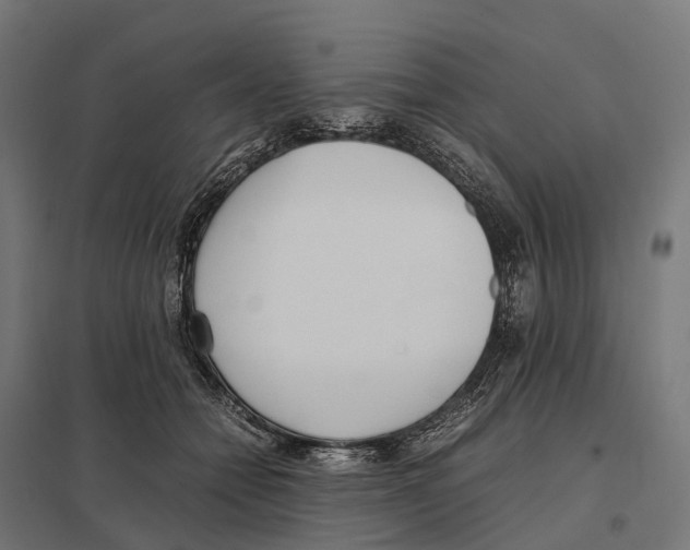 X0000097640558200803281125