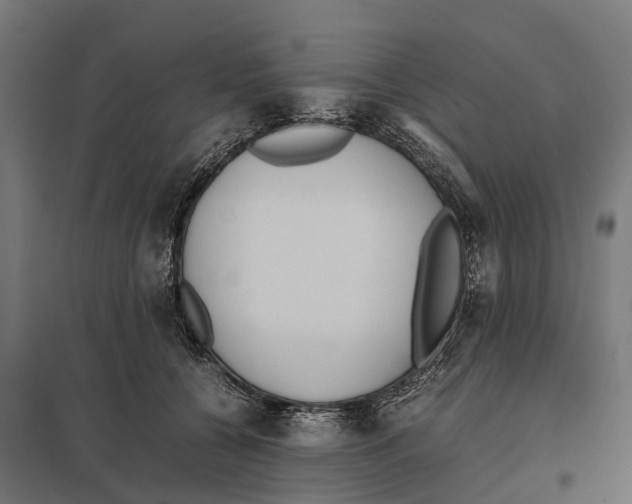 X0000097640560200803281125