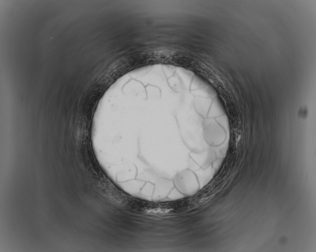 X0000097640561200803281125