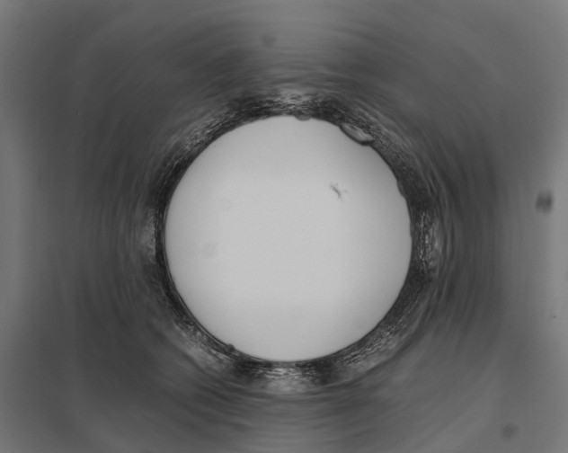 X0000097640562200803281125