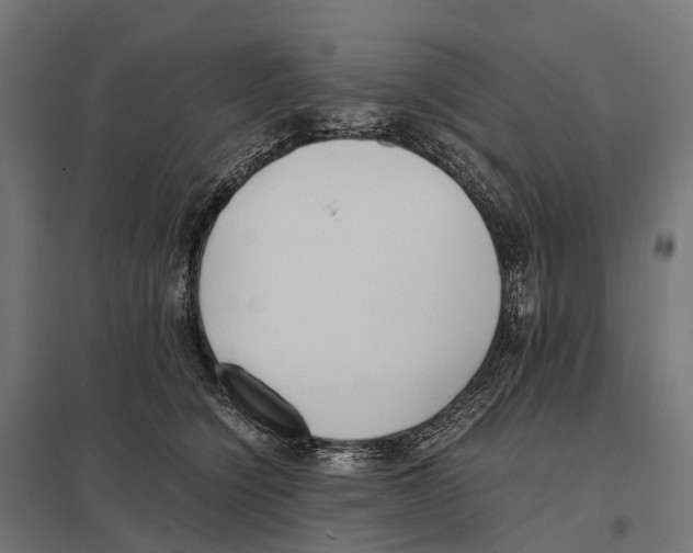 X0000097640564200803281125