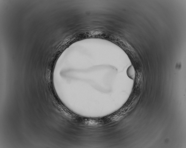 X0000097640565200803281125