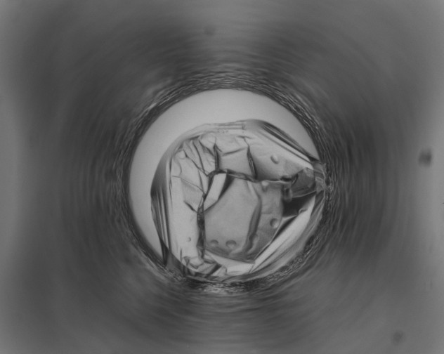 X0000097640568200803281126