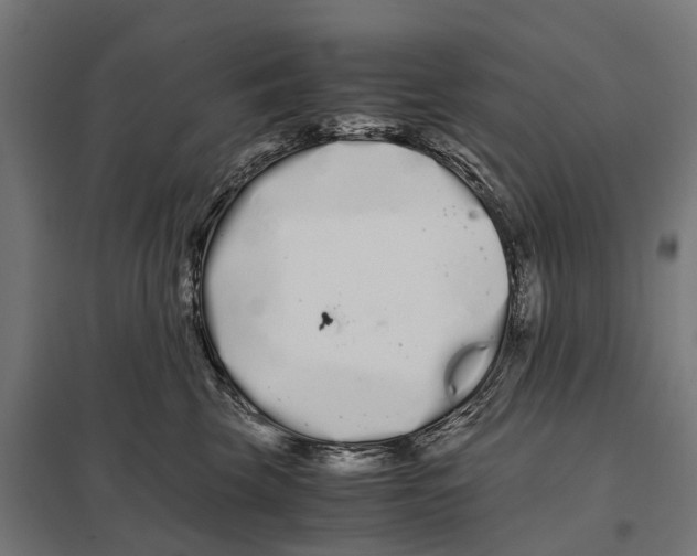 X0000097640569200803281126