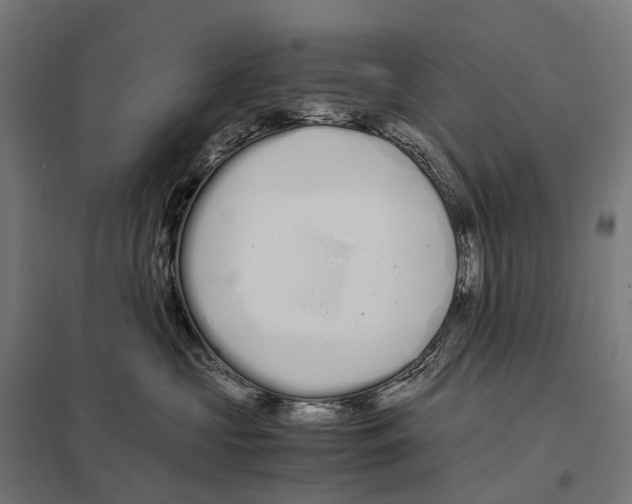 X0000097640573200803281126