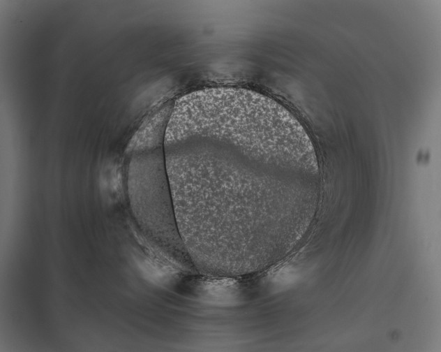 X0000097640576200803281126