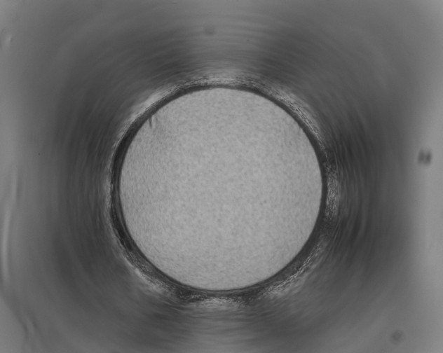 X0000097640578200803281125