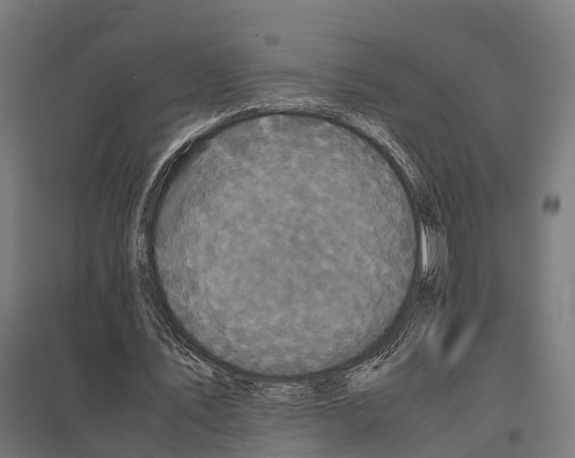 X0000097640579200803281125