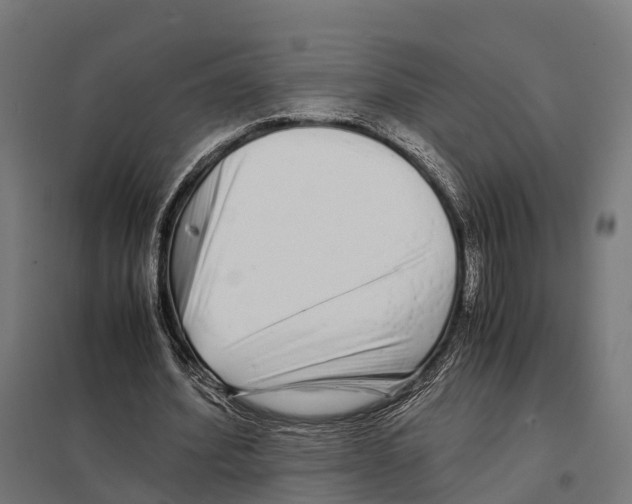 X0000097640580200803281125