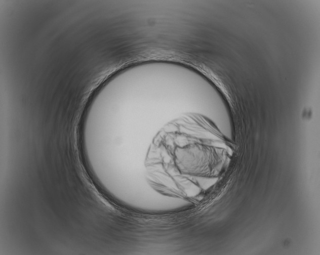 X0000097640581200803281125