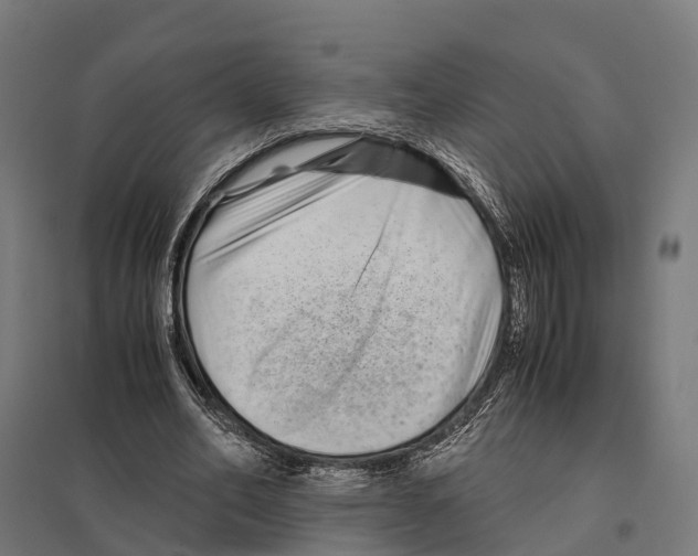 X0000097640582200803281125