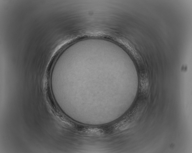 X0000097640583200803281125