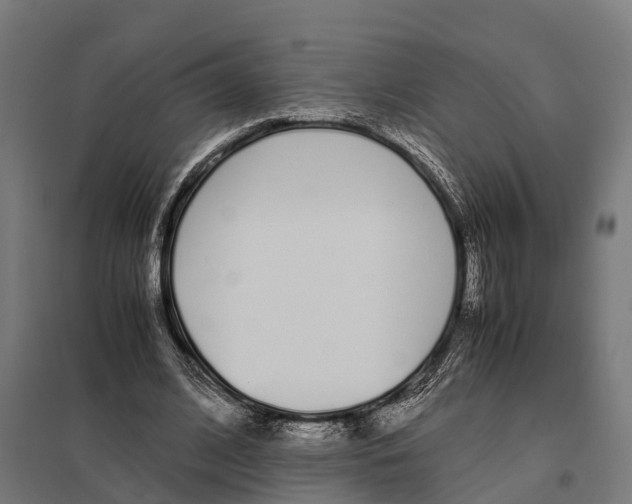 X0000097640584200803281125